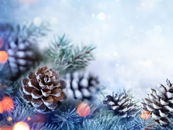 Original holiday coding activities image from the Create2Discover article